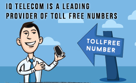 Questions to ask when buying toll free number