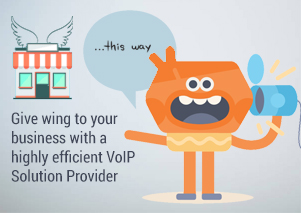 Give wing to your business with a highly efficient VoIP Solution Provider